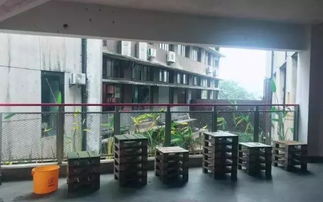 鹅岭二厂 美食与历史的文艺打卡圣地